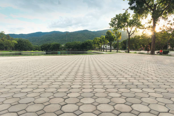 Best Residential Driveway Paver Services  in Chocowinity, NC