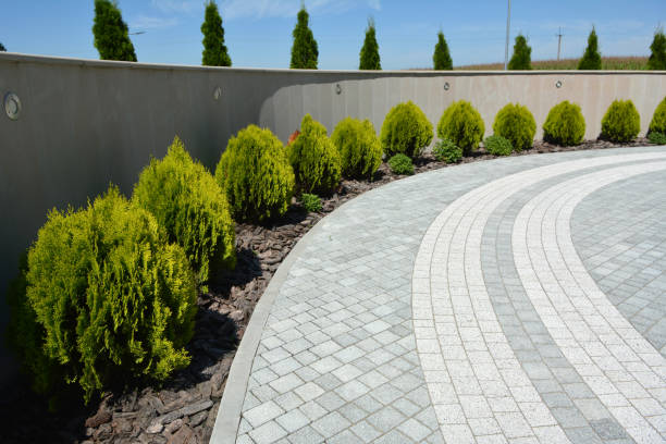 Best Interlocking Driveway Pavers  in Chocowinity, NC